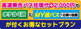 土佐エクスプレス＋高知市内ホテル宿泊パック
