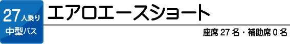 エアロエースショート 27人乗り中型バス