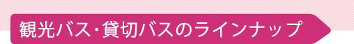 観光バス・貸切バスのラインナップ