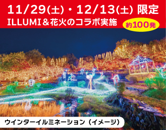 [イメージ写真]　