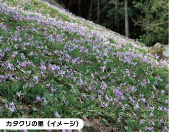 [イメージ写真]　