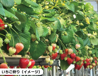 [イメージ写真]　