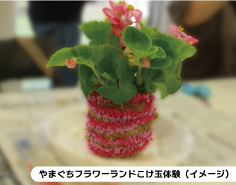 [イメージ写真]　