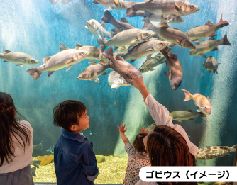 [イメージ写真]　