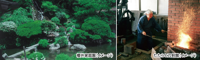 [イメージ写真]　