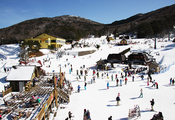 ユートピアサイオト