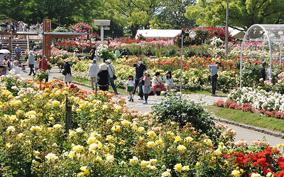 ばら公園