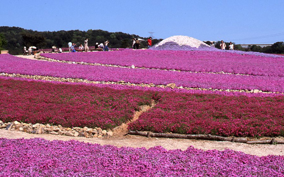 花夢の里