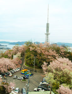 (イメージ)黄金山から見る風景